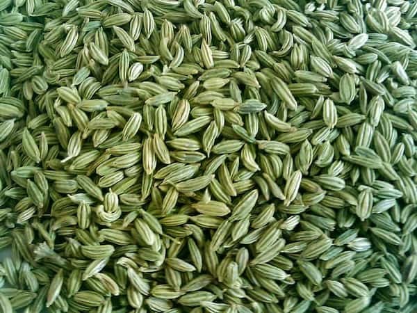 تصویر 3 از قیمت خرید زیره سبز شیرین عمده به صرفه و ارزان